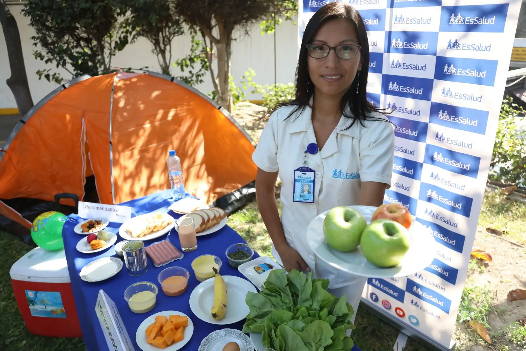 EsSalud recomienda consumir manzana, tuna, mandarina o granadilla a los que acamparán este feriado. ANDINA/Difusión