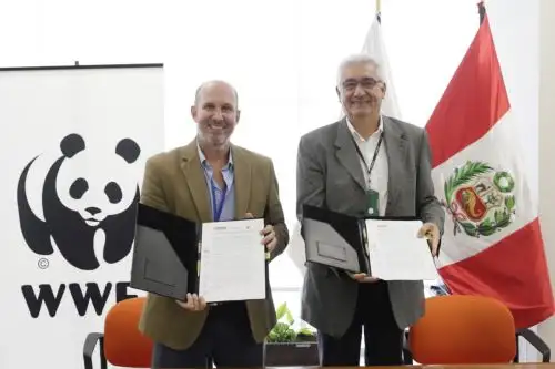 El Servicio Nacional Forestal y de Fauna Silvestre (Serfor) del Ministerio de Agricultura y Riego, y WWF Perú, organización mundial de conservación, suscribieron hoy un convenio marco de cooperación institucional, con el fin de implementar mecanismos de trabajo para impulsar la gestión sostenible del patrimonio forestal y de fauna silvestre del Perú.