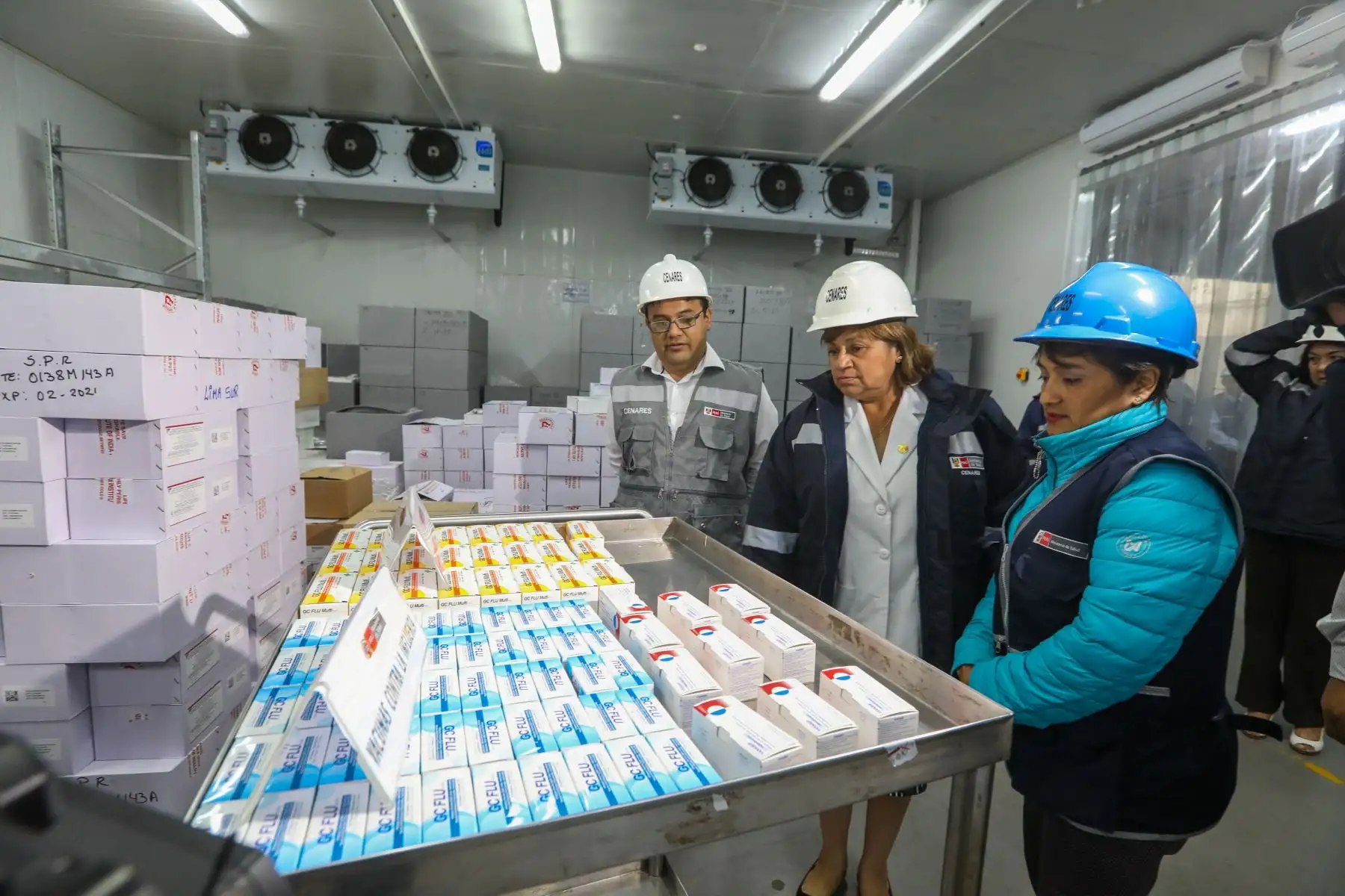 Ministra  de Salud, Zulema Tomás participa en la entrega de  más de dos millones de vacunas contra la Influenza como protección ante friaje y heladas. Foto: ANDINA/Minsa