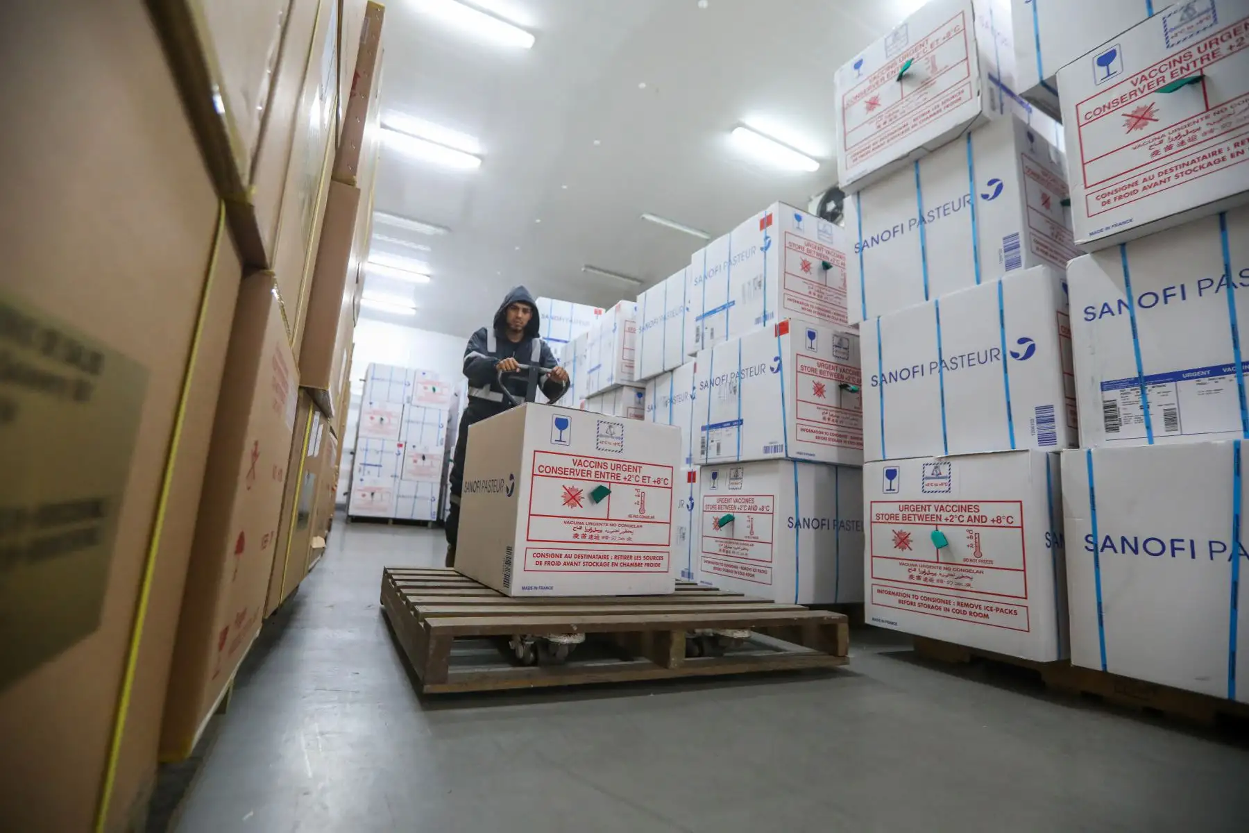 Ministerio de Salud distribuye más de dos millones de vacunas contra la Influenza como protección ante friaje y heladas. Foto: ANDINA/Minsa