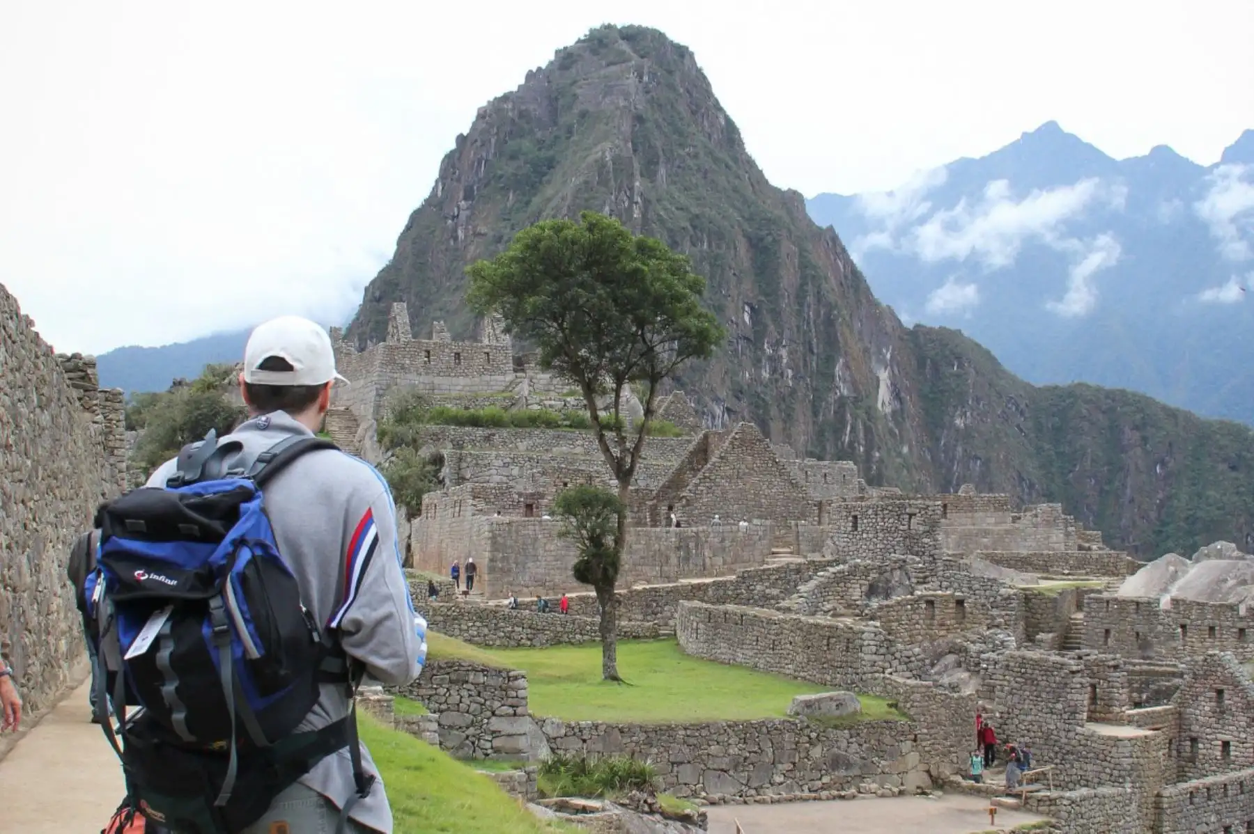 La iniciativa de reforestación “Un millón de árboles para Machu Picchu” concita una creciente atención mundial, como la de la prestigiosa publicación Lonely Planet. ANDINA/Difusión