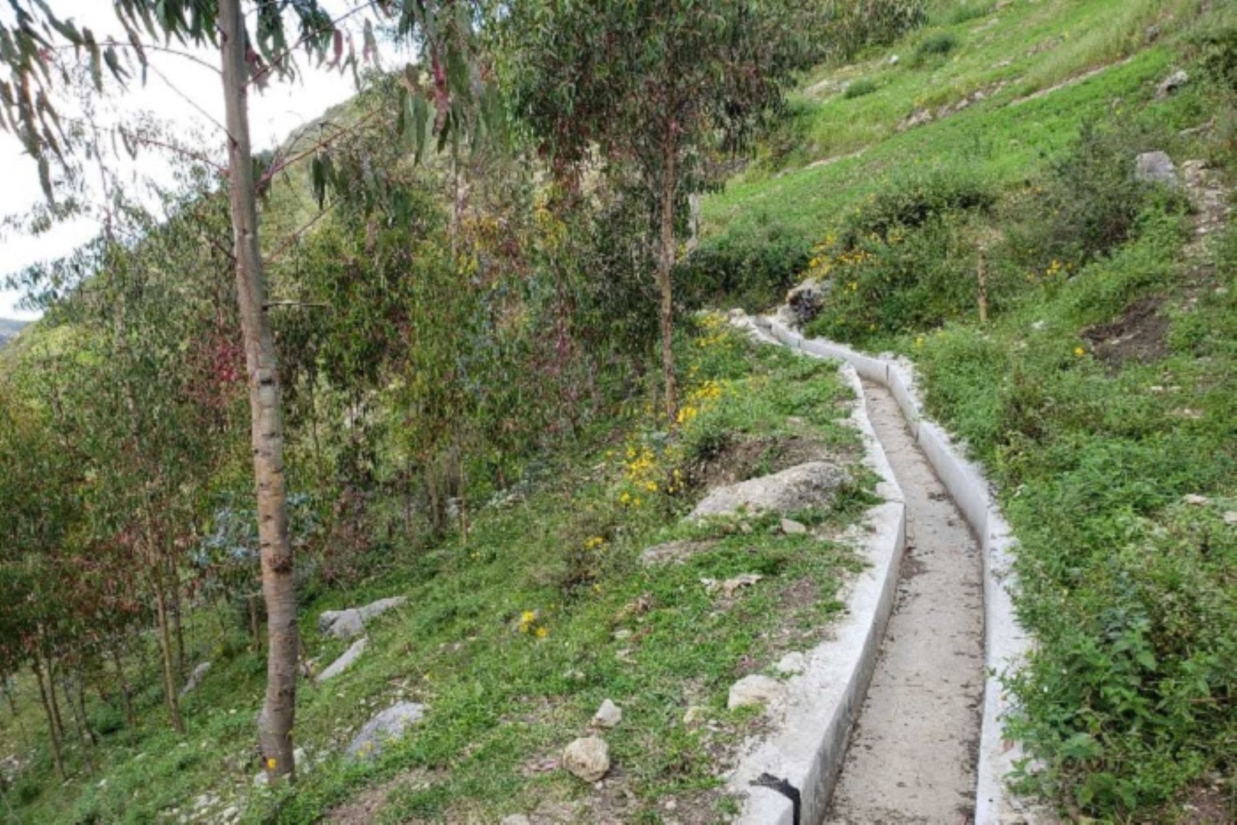 Con un presupuesto de S/ 13 069 249, los NE conformados en la provincia de Ilave, Ramis, Juliaca y Huancané realizarán 642 actividades de mantenimiento de canales y drenes. ANDINA/Difusión