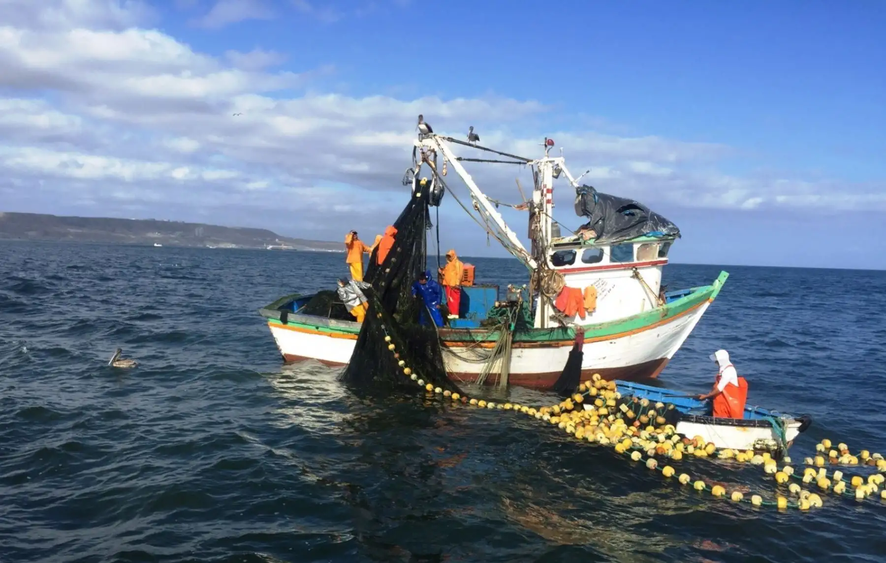 Extracción de bacalao.