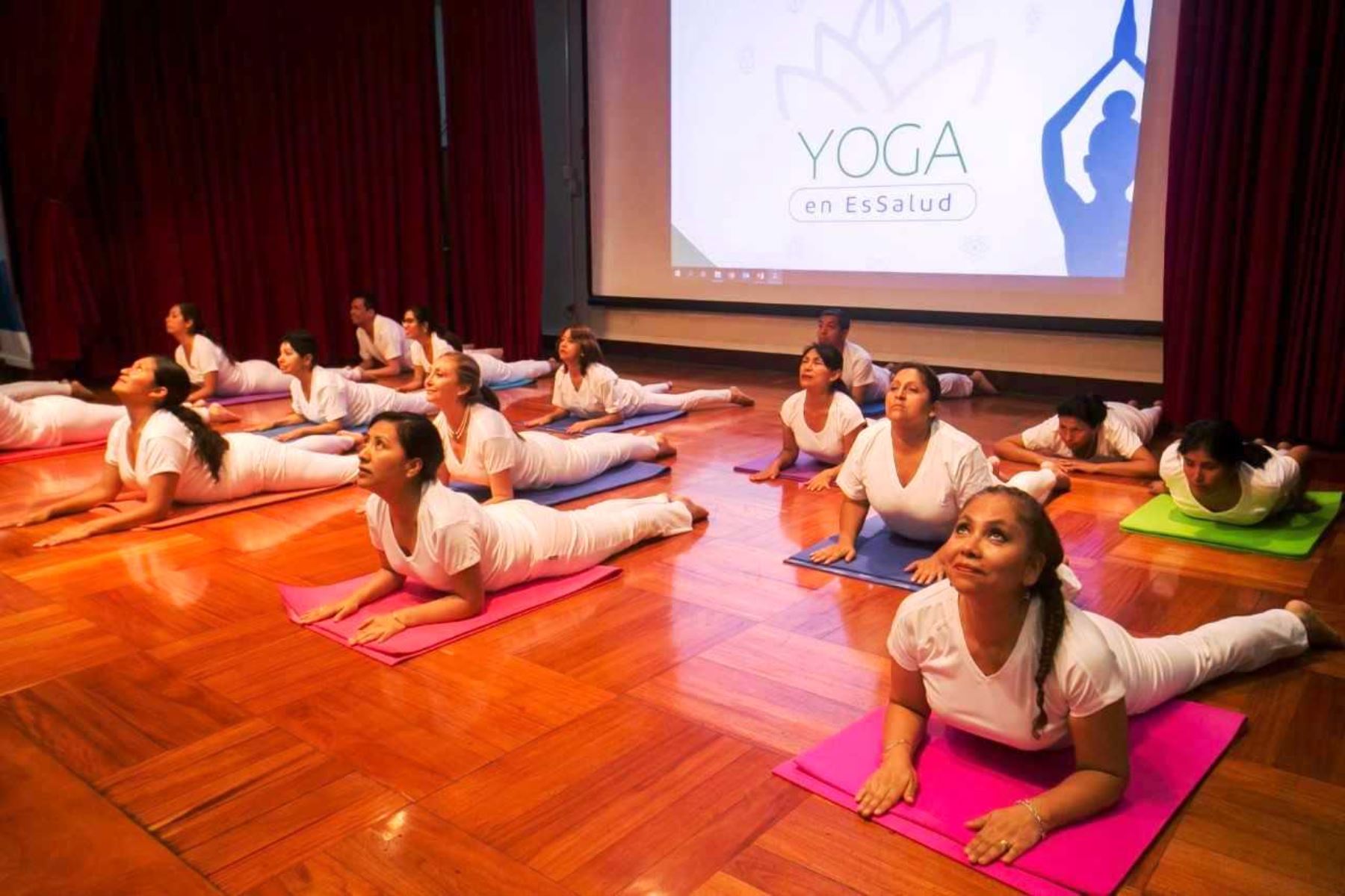 EsSalud: acreditan a más de 30 profesionales para impulsar práctica de yoga. Foto: ANDINA/Difusión.