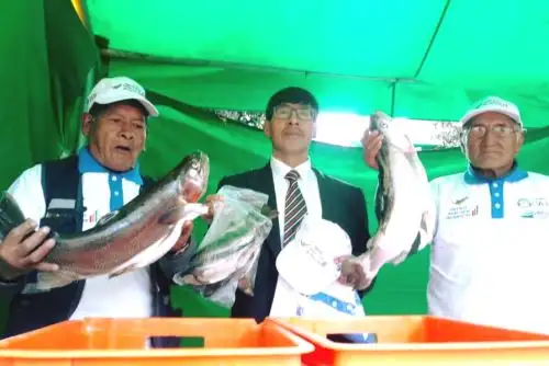 Con motivo de las festividades por la Semana Santa, el frontis del terminal terrestre y el mercado Santa Rosa de la ciudad de Pasco fueron escenario del Primer Festival de la Trucha y Peces Tropicales, donde se proyecta vender más de 10 toneladas de pescado.