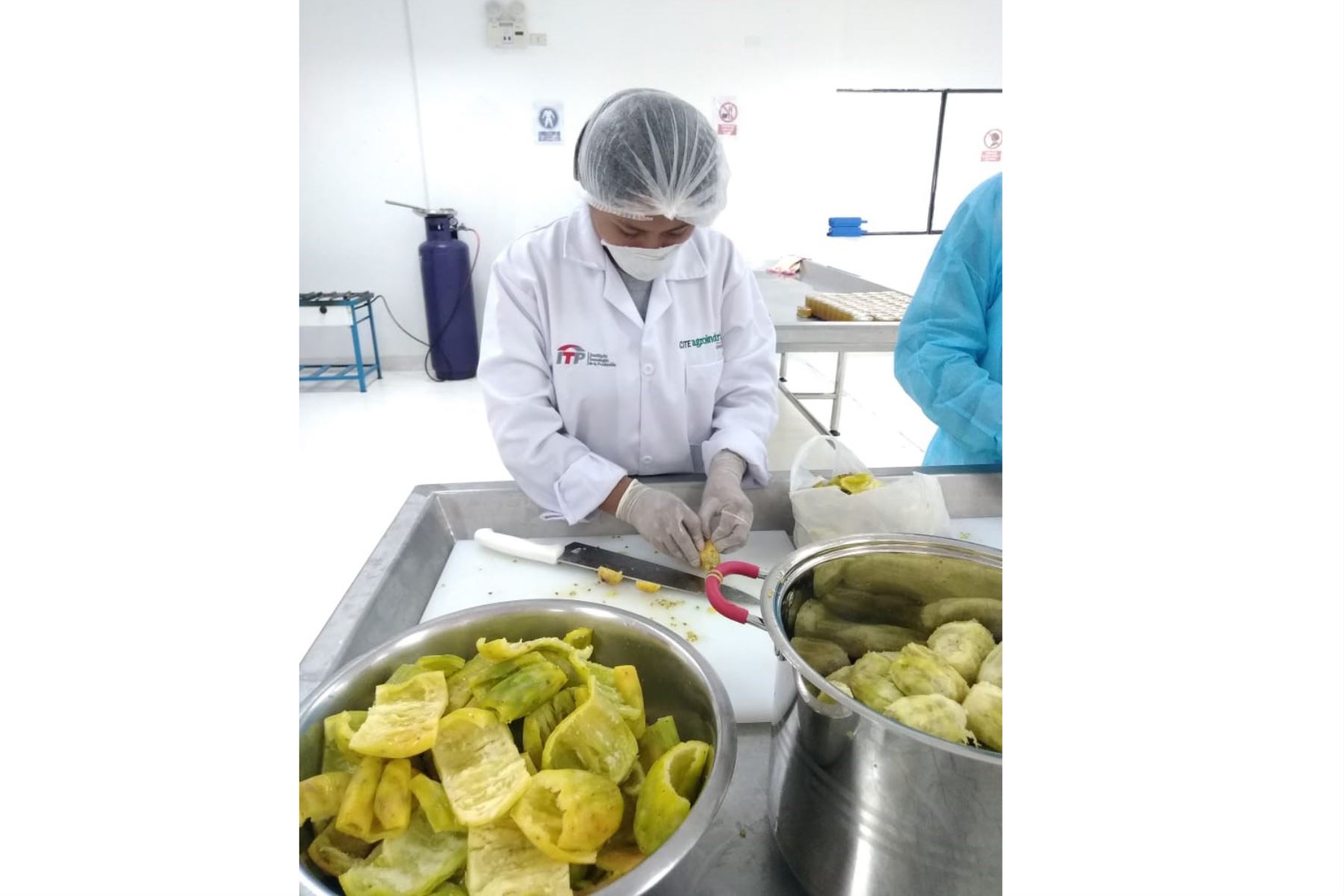 El Cite Agroindustrial Moquegua apoya a microempresarios de Moquegua en la elaboración de mermelada de pulpa y cáscara de tuna.
