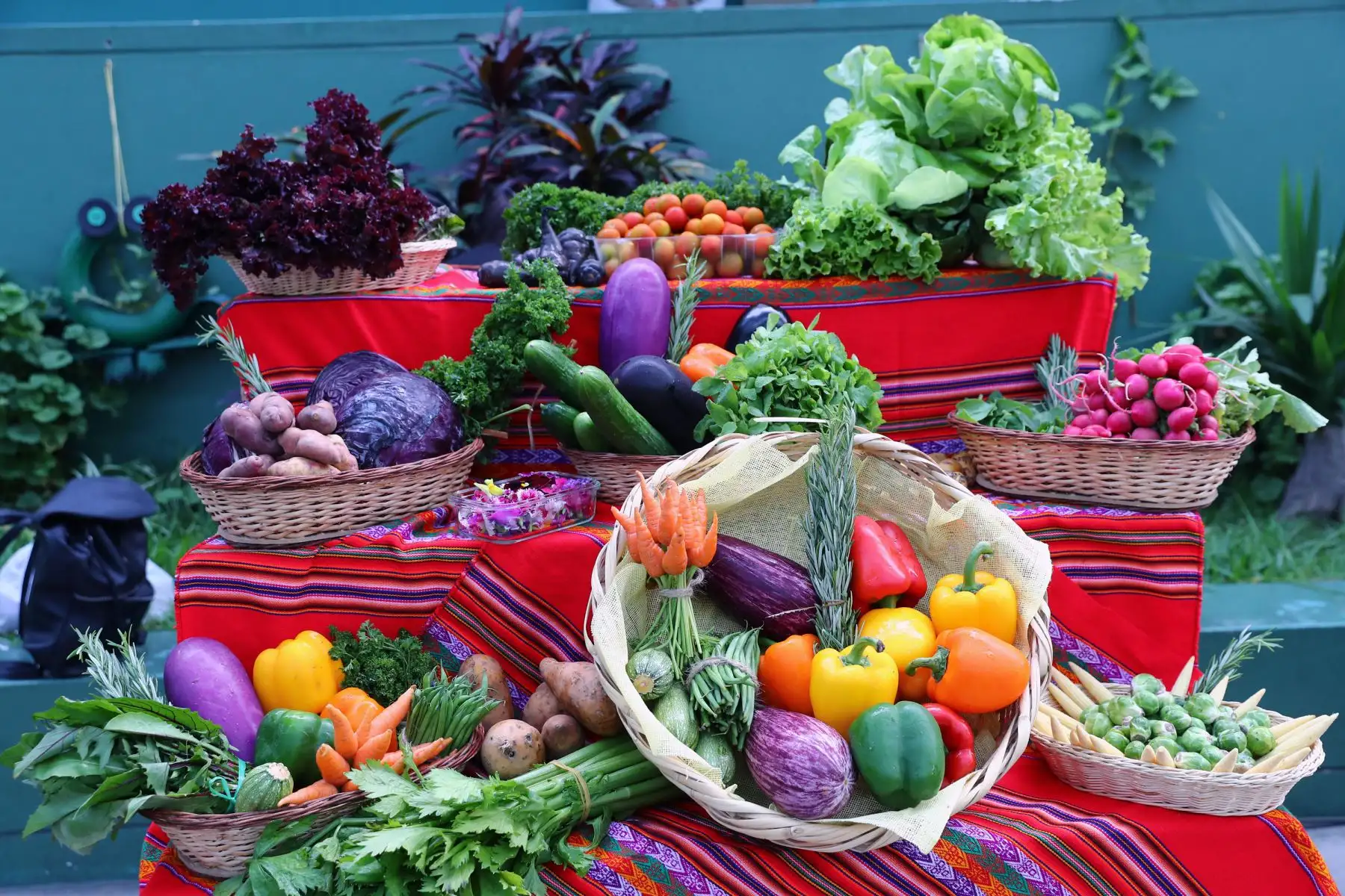 Semana Nacional de Frutas y Verduras: mejora tu nutrición con estos cultivos de la sierra. ANDINA/Norman Córdova