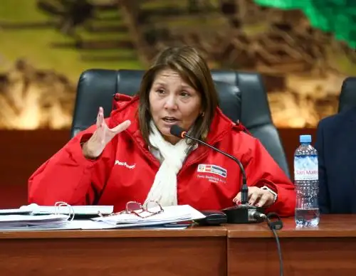 ANDINA/Difusión