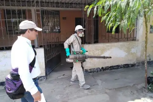 Personal de la Geresa Lambayeque continúa con la fumigación de viviendas del distrito chiclayano de José Leonardo Ortiz para evitar más casos de dengue.
