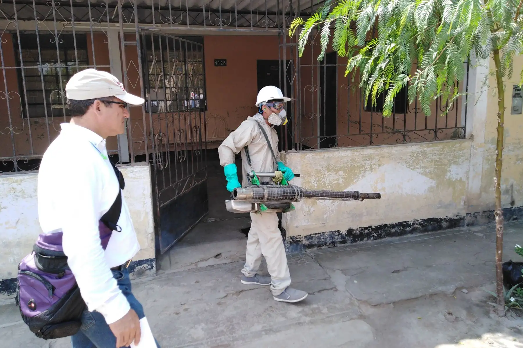 Personal de la Geresa Lambayeque continúa con la fumigación de viviendas del distrito chiclayano de José Leonardo Ortiz para evitar más casos de dengue.