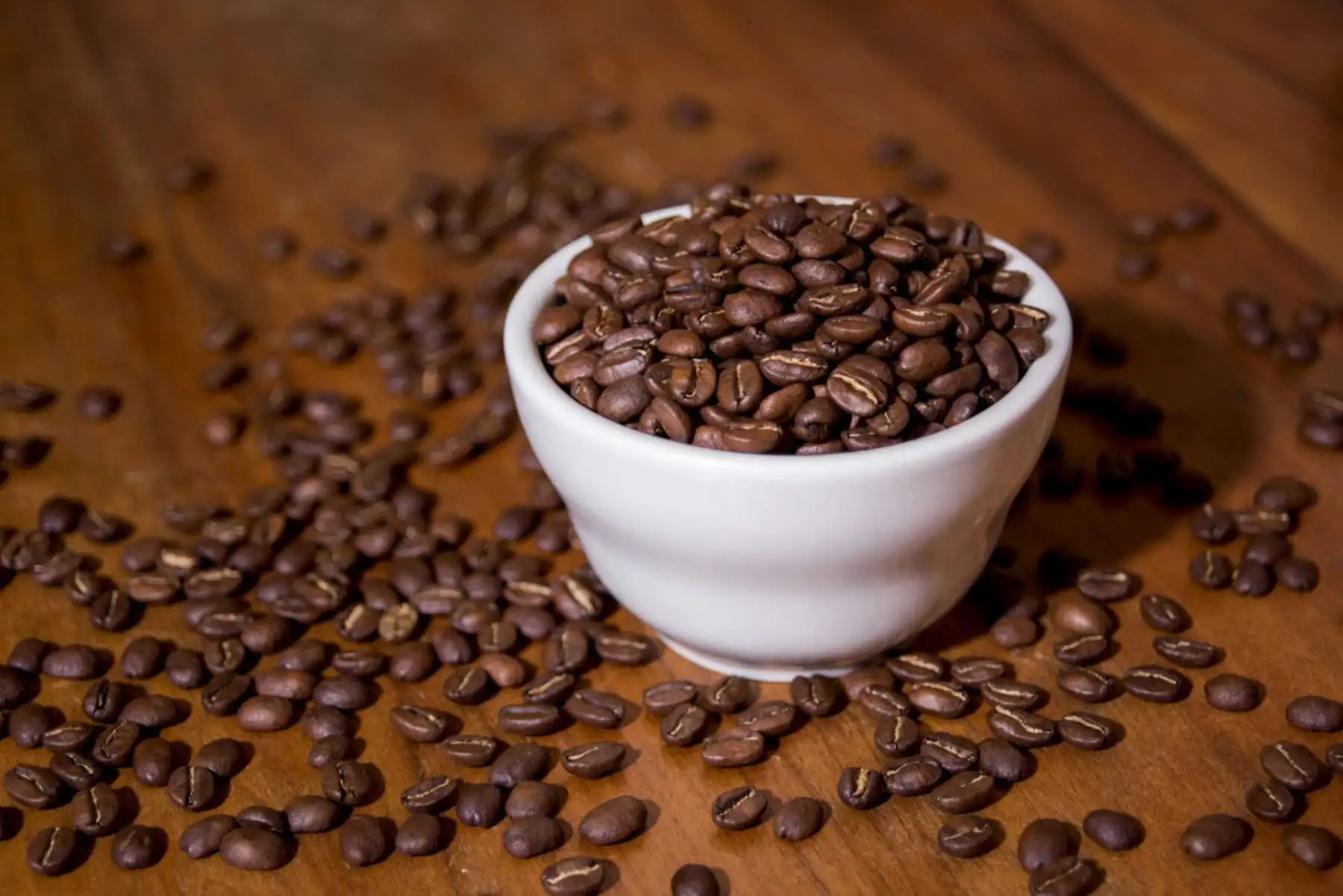 “Café del futuro”: conoce el exitoso proyecto de cultivo sin deforestación en San Martín