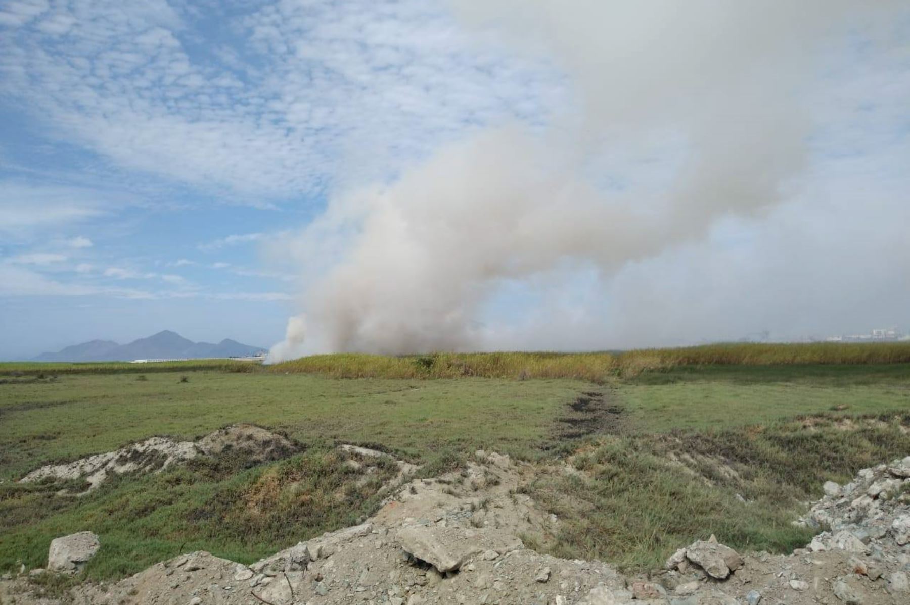 Hasta el momento, más de 25 hectáreas de los pantanos de Villa María de Chimbote han sido consumidas por incendio desatado anoche. Foto: ANDINA/Gonzalo Horna