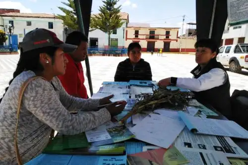 El INIA brindó asistencia técnica personalizada y capacitación a más de 3,500 productores agrarios de ocho regiones en el 2018, por medio de clínicas de plantas.