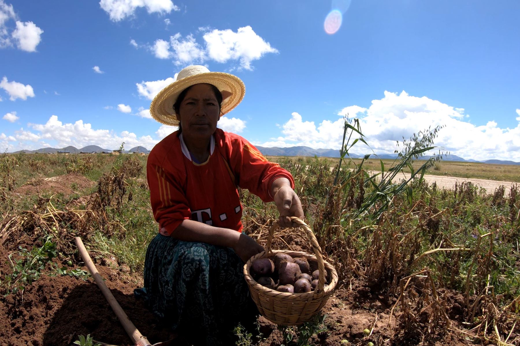 Con productos orgánicos pobladores del distrito de Samán, en Puno, combaten la anemia y desnutrición infantil. ANDINA/Difusión
