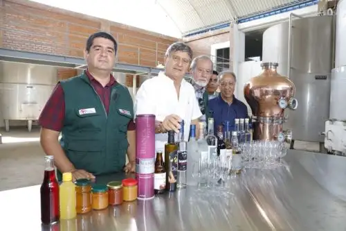 El Centro de Innovación Tecnológica (Cite) Agroindustrial de Ica, antes Cite Vid, procesó 500,000 litros de pisco desde el 2002.