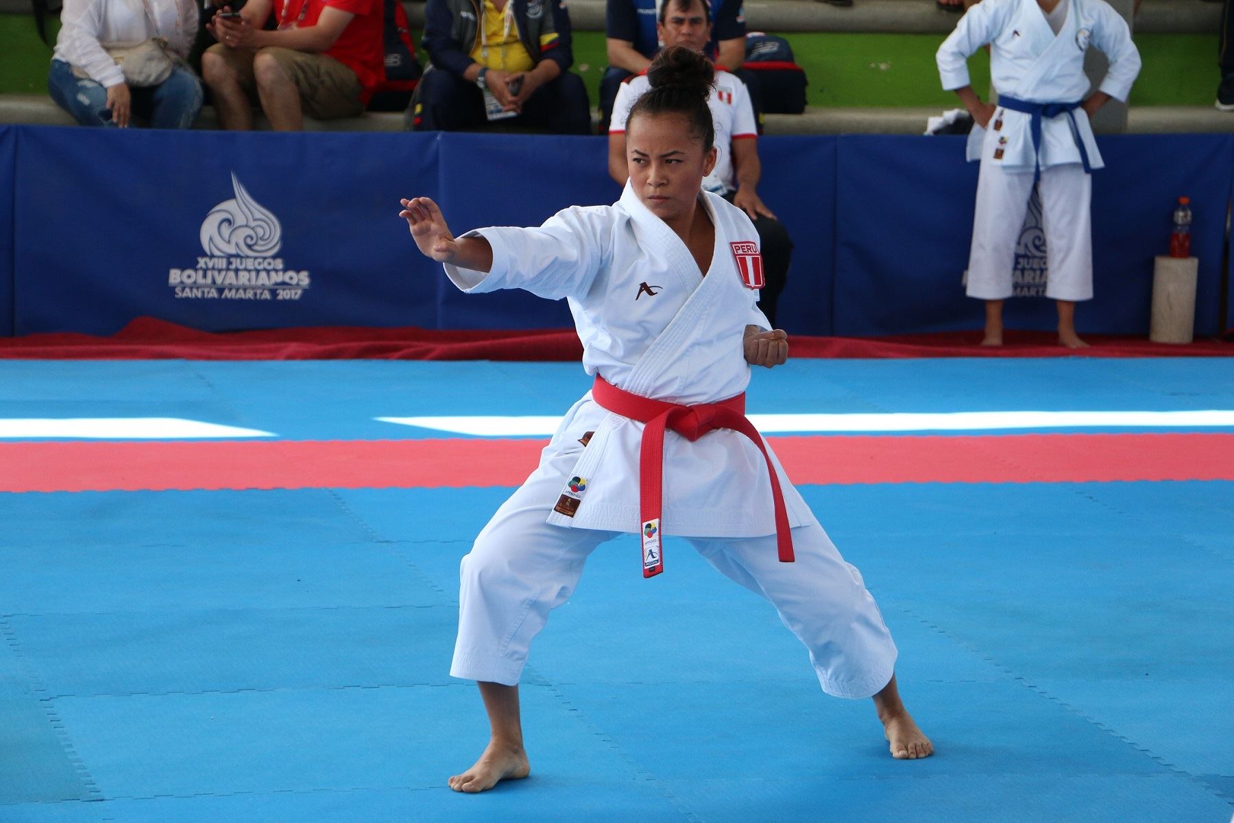 Entrevista a destacada karateca Ingrid Aranda. Foto: IPD.