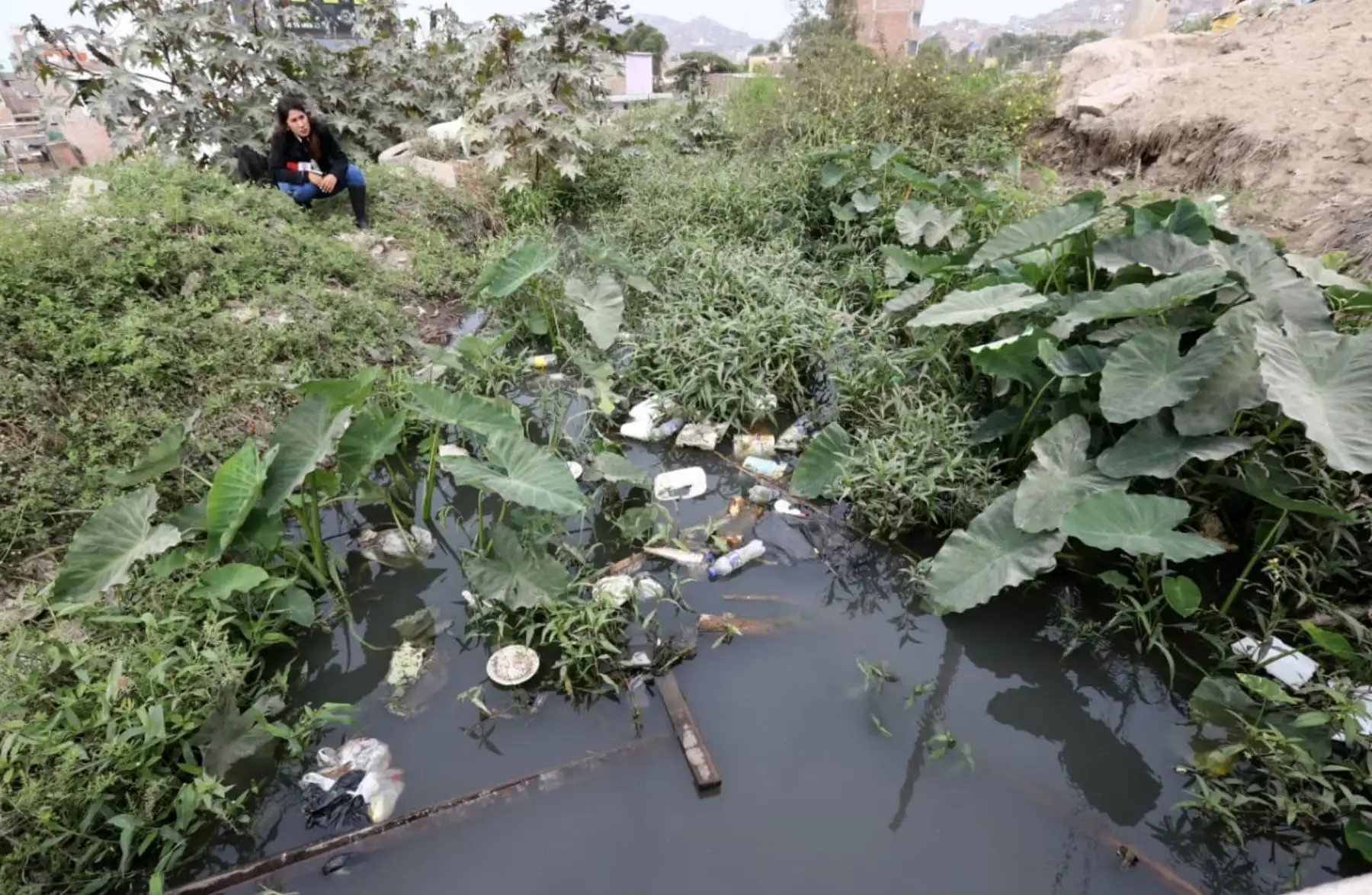 Río Surco se desborda e inunda varias viviendas en Chorrillos. Foto: ANDINA/ Norman Córdova