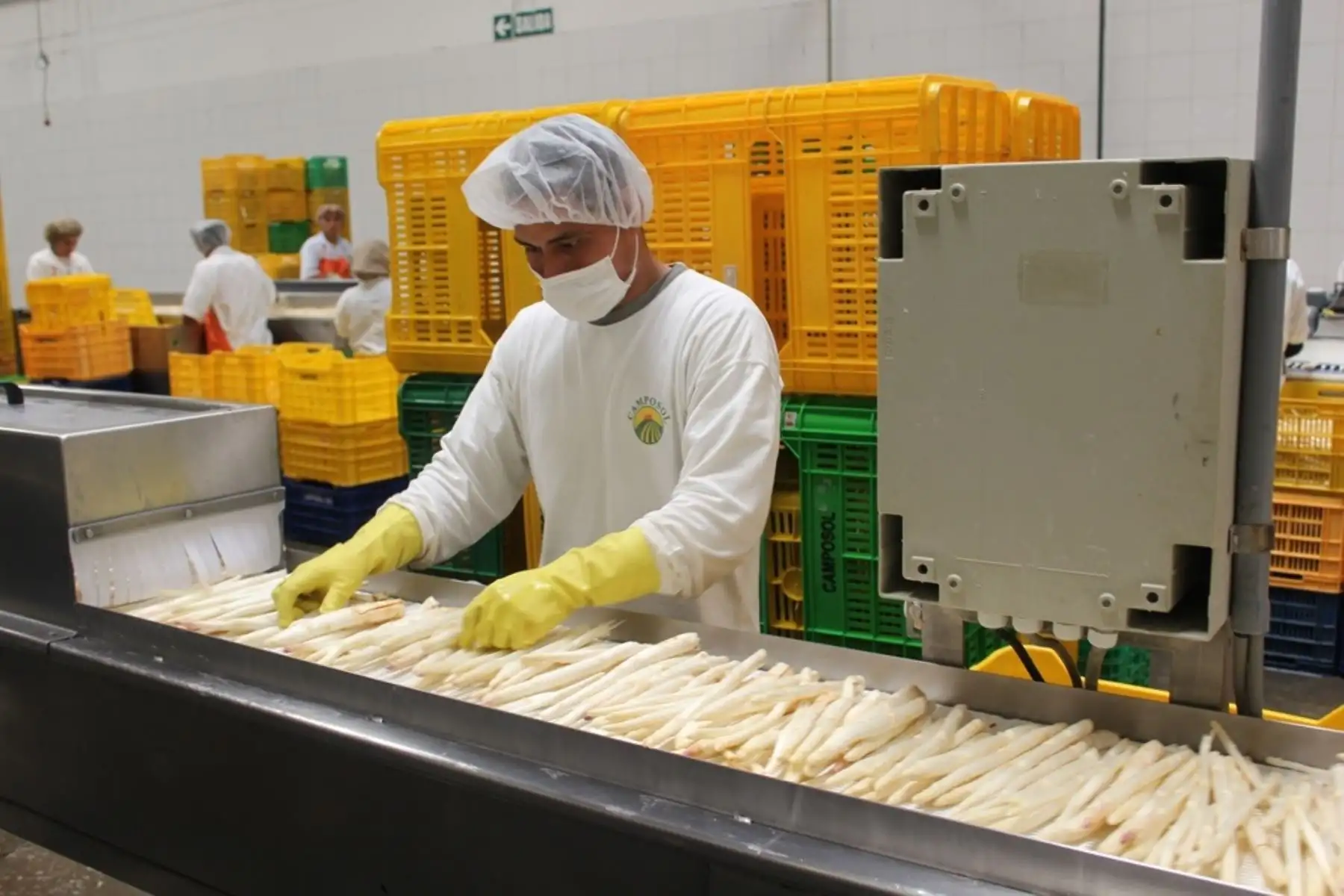 Empleo en el sector agroexportación.