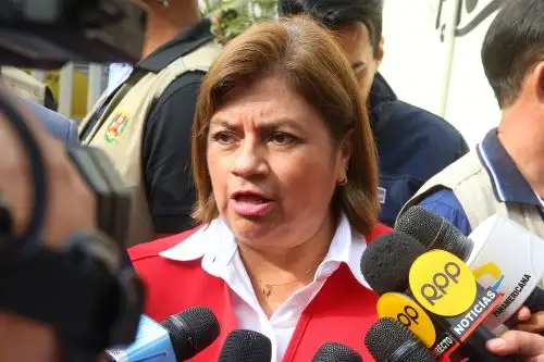 Foto: ANDINA/Vidal Tarqui.