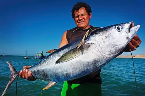 Comisión técnica implementará plan para salvaguardar pesca tradicional en Cabo Blanco y El Ñuro. ANDINA/Difusión.
