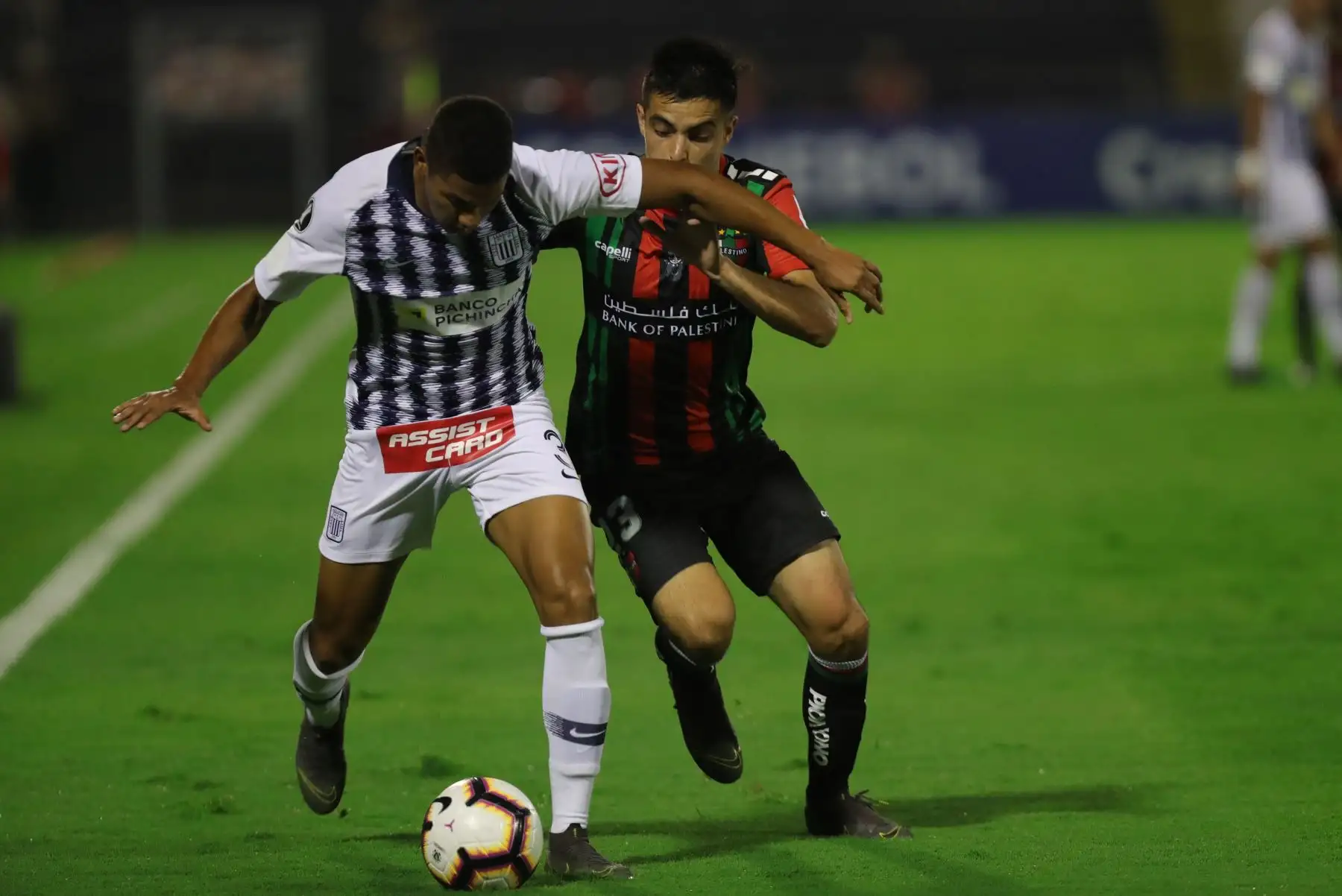 Alianza se enfrenta al Palestino ( Chile) por la Copa Libertadores.
Foto:EFE