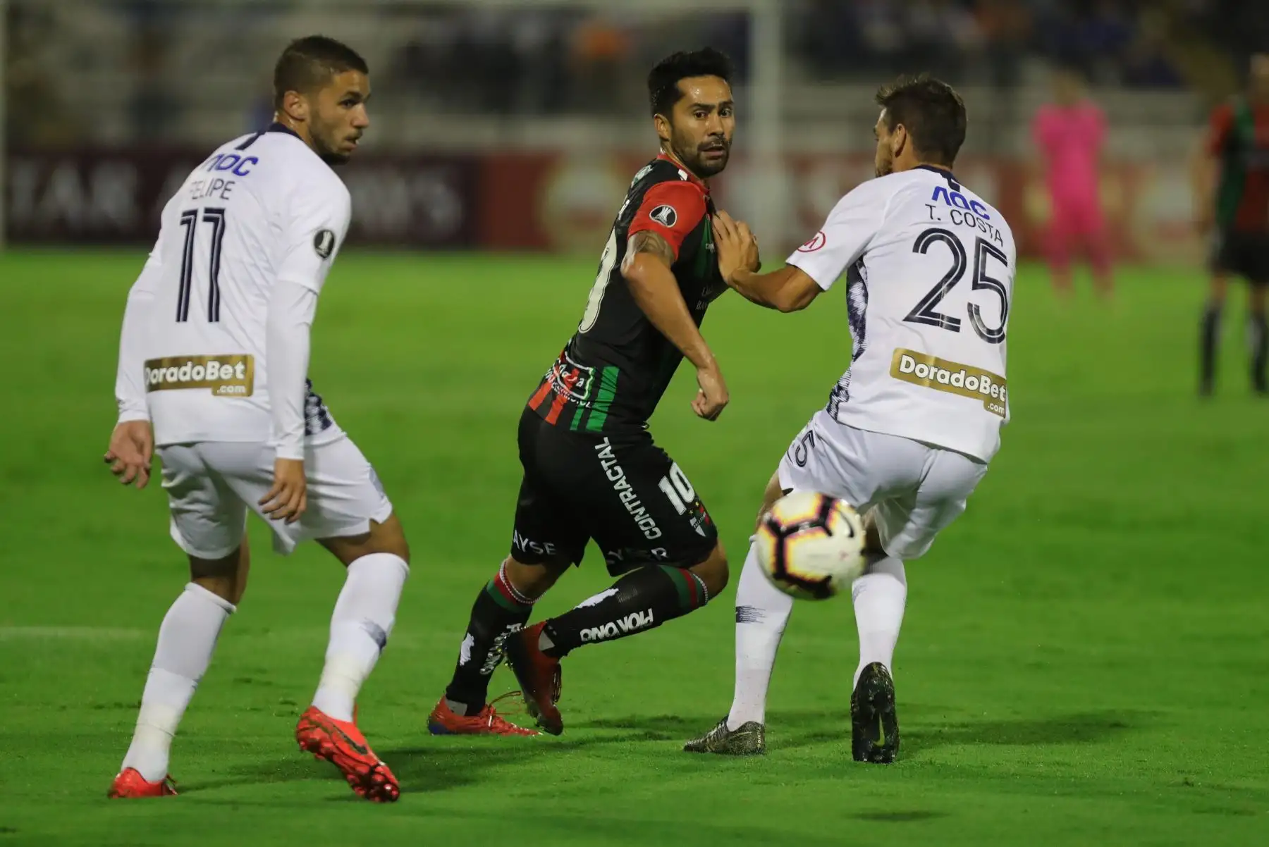 Alianza se enfrenta al Palestino ( Chile) por la Copa Libertadores.
Foto:EFE