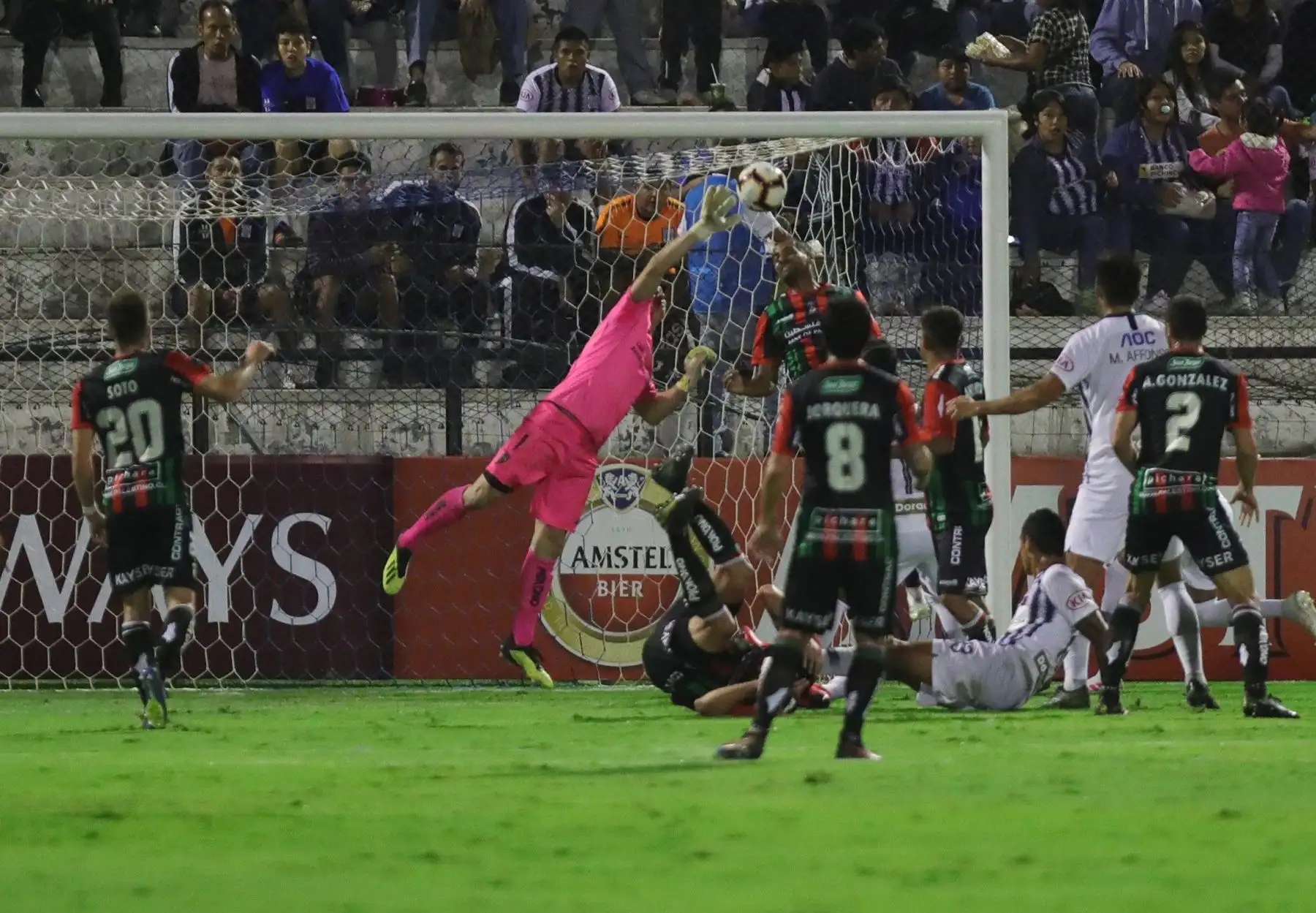 Alianza se enfrenta al Palestino ( Chile) por la Copa Libertadores.
Foto:EFE