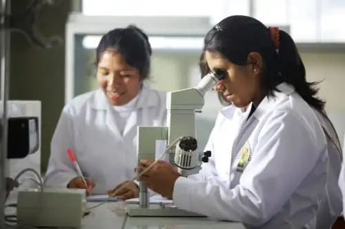 Premiarán a peruanos que ingresen a una de las 100 mejores universidades del mundo. Foto: ANDINA/Difusión.