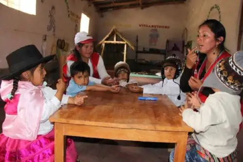 A fin de mejorar la calidad del servicio educativo en las instituciones educativas rurales, en su mayoría unidocentes y multigrado, donde el director es a la vez docente con una o más aulas a cargo, el Ministerio de Educación (Minedu) ha creado el cargo de director de Red Educativa Rural (RER), para cuyo ejercicio se requiere contar con título de profesor o licenciado en educación.