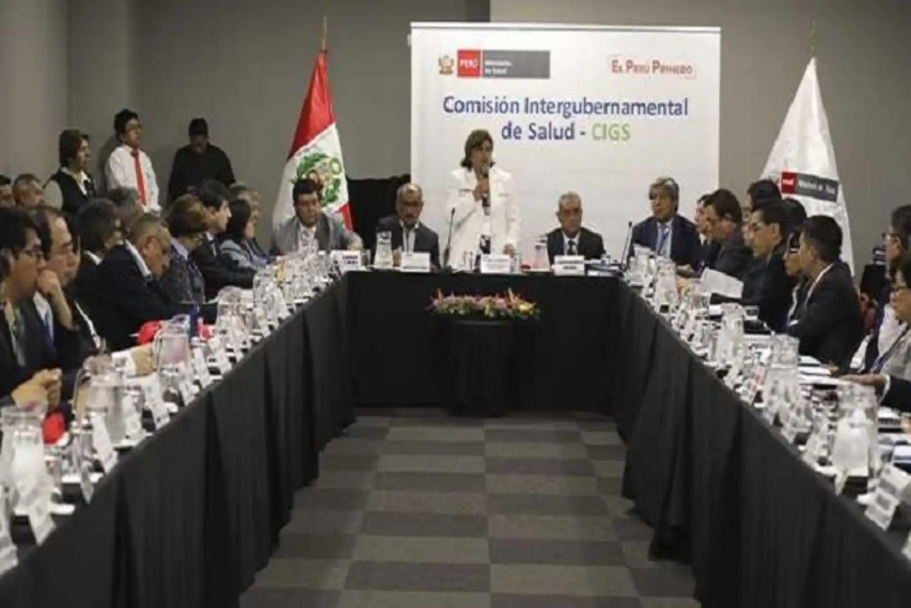El Ministerio de Salud (Minsa) y los gobiernos regionales impulsarán la estrategia social de visitas domiciliarias para asegurar la suplementación preventiva y el tratamiento contra la anemia en los niños menores de un año.