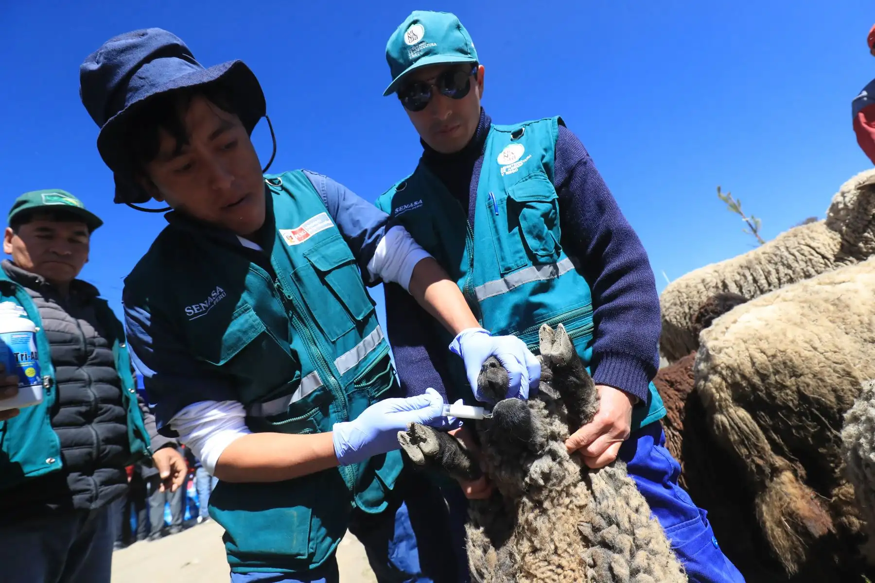 Titulares del Midis y Produce, Paola Bustamante y Rocío Barrios lanzaron Plan Multisectorial 2019-2021 en Purus, Ayacucho.

Foto: ANDINA/Juan Carlos Guzmán Negrini.