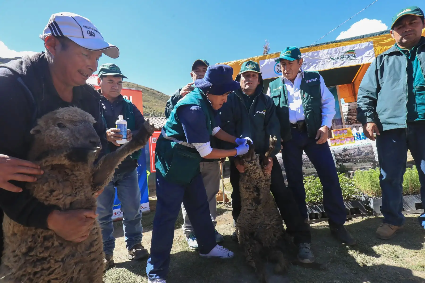 Titulares del Midis y Produce, Paola Bustamante y Rocío Barrios lanzaron Plan Multisectorial 2019-2021 en Purus, Ayacucho.

Foto: ANDINA/Juan Carlos Guzmán Negrini.