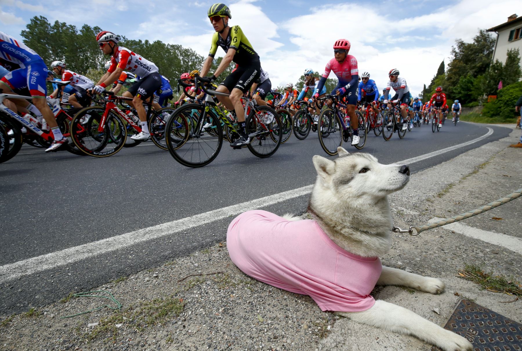 Ciclistas compiten en la cuarta etapa del 102º Giro de Italia - Tour de Italia - carrera de 235 km desde Orbetello hasta Frascati. Foto: AFP