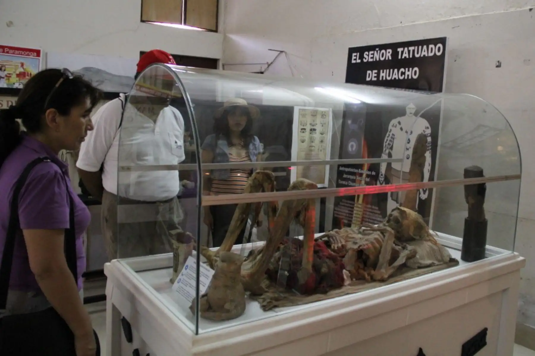Museo Regional de Huacho exhibe los restos óseos del llamado "Hombre tatuado".