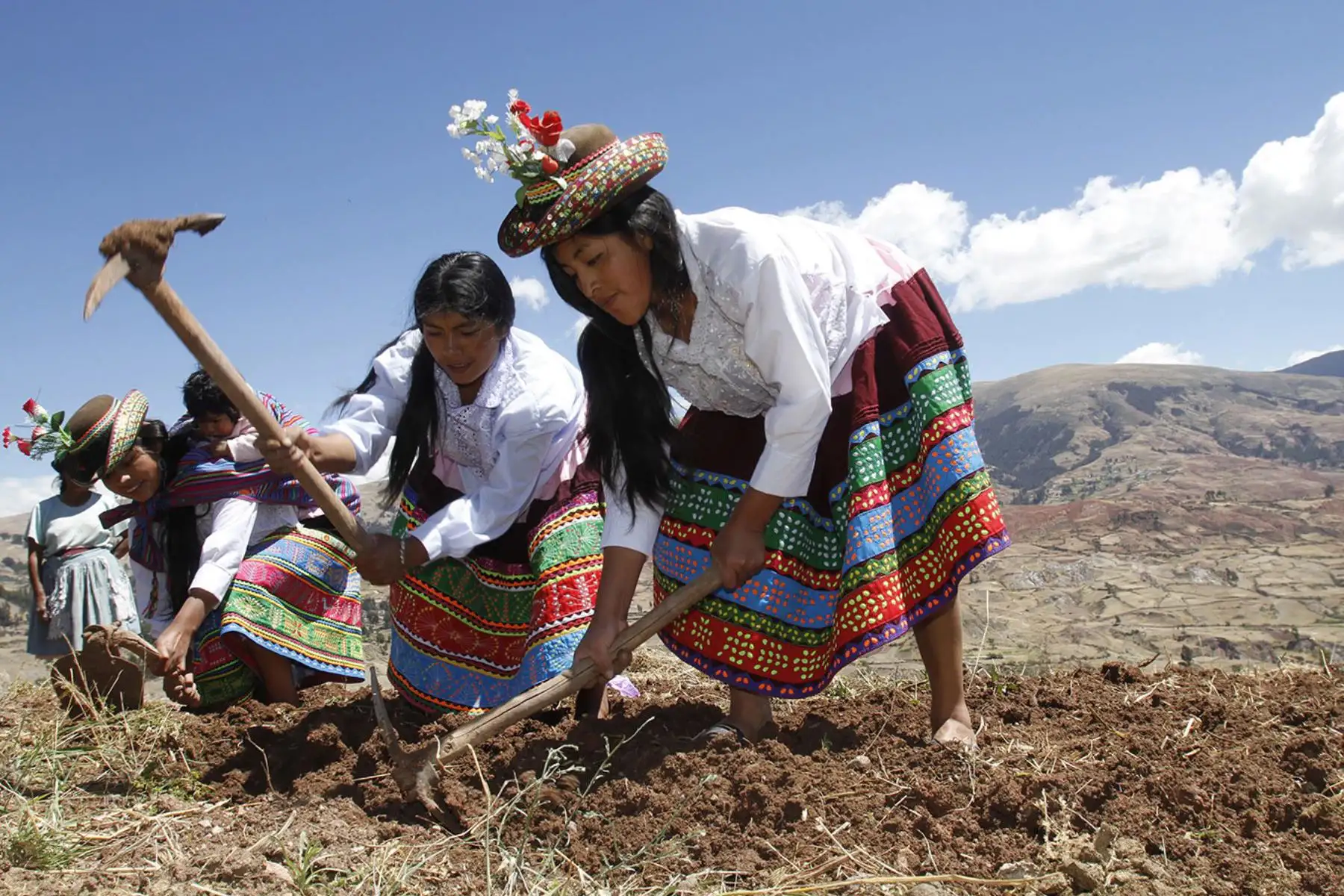 Declaran Patrimonio Cultural de la Nación al ritual de Qhasqa de Taya en Arequipa