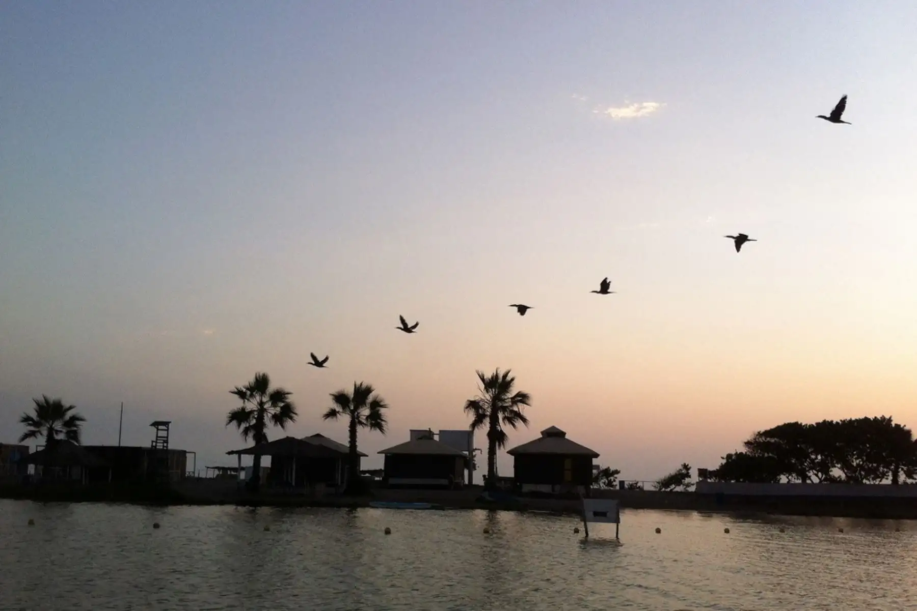 La albufera de medio mundo en Huacho es un destino ideal para celebrar el Día de San Valentín. ANDINA/Difusión