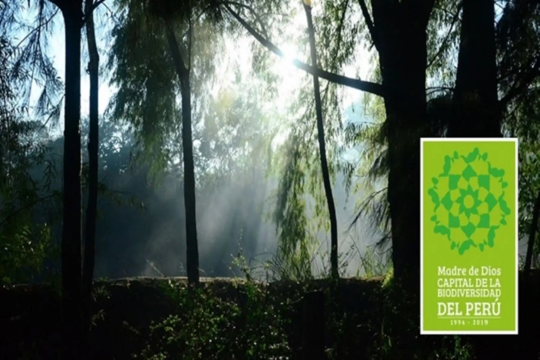 El gobernador regional de Madre de Dios, Luis Hidalgo Okimura, exhortó a la población en general, para unirse en la labor de proteger la rica biodiversidad en flora y fauna que posee la región y es reconocida en el mundo entero, reduciendo el uso de plástico de un solo uso y los recipientes y envases descartables.