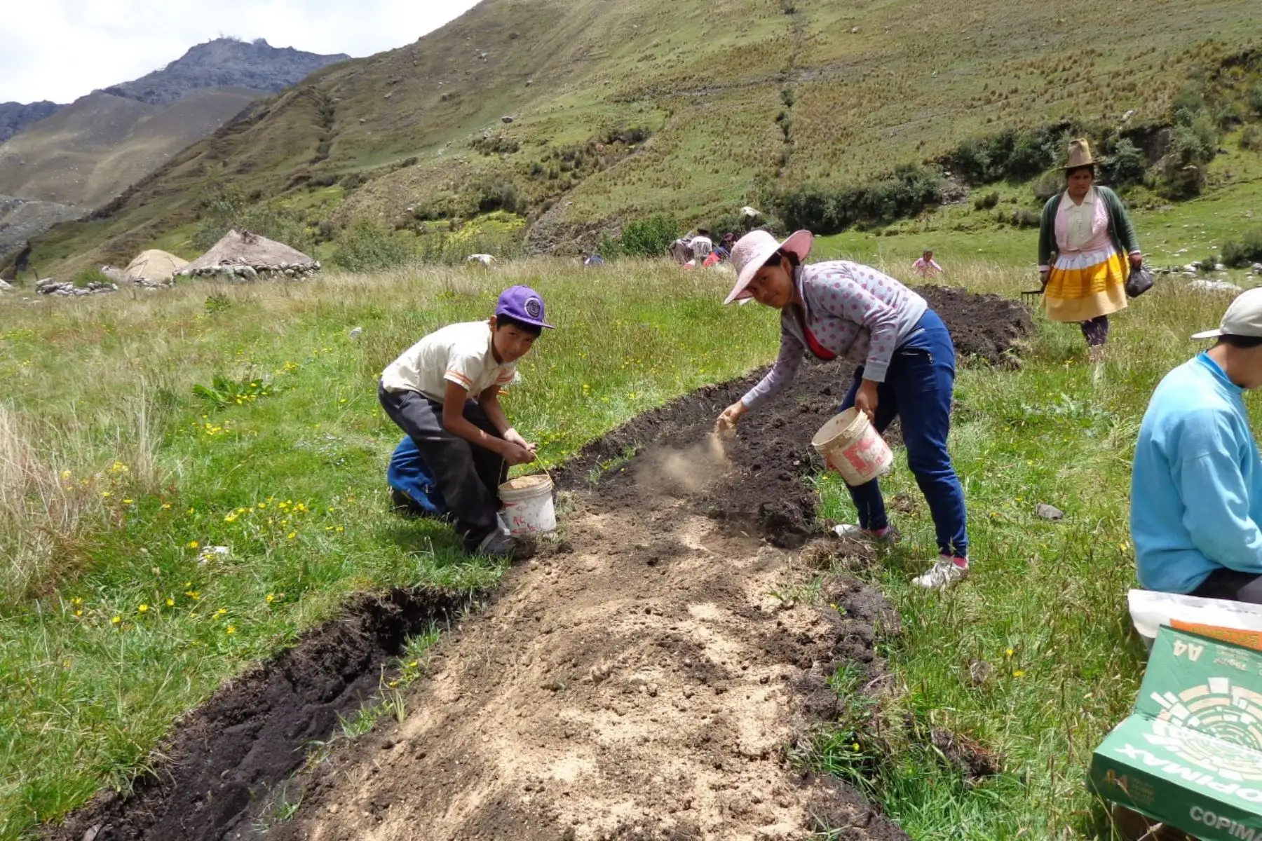 Guano de las islas llega a Ucayali para mejorar la agricultura de la región. ANDINA/Difusión