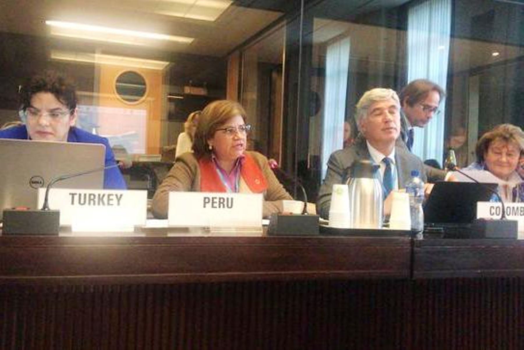 La ministra de Salud, Zulema Tomás, muestra los avances sobre salud en el Perú en asamblea de la OMS en Ginebra. Foto: ANDINA/Difusión.