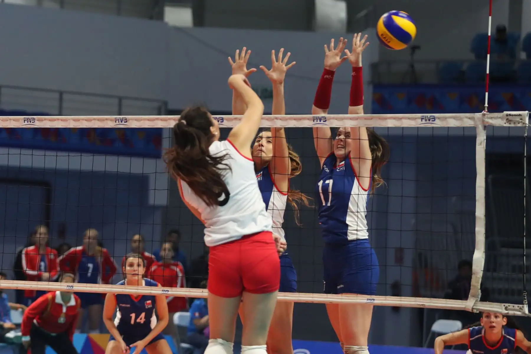Selección peruana femenina de voleibol, categoría Sub 20, cayó ante su similar de Chile 3-1, en el marco del cuadrangular internacional Rumbo a Lima 2019 que permite probar las instalaciones de cara a los XVIII Juegos Panamericanos y Juegos Parapanamericanos. Foto: ANDINA/Melina Mejía