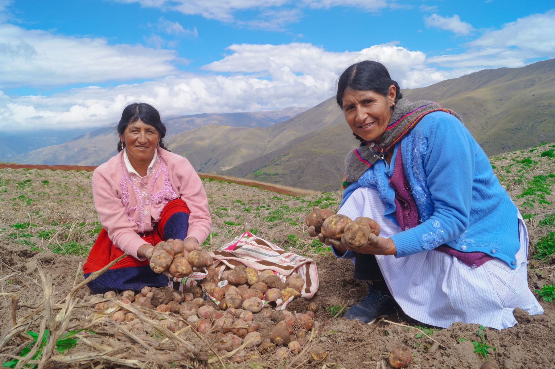 En las regiones Huancavelica y Junín se ejecutará el proyecto “Biodiversidad y buenas prácticas de agricultura climáticamente inteligente para mejorar la resiliencia y productividad de la agricultura familiar en sistemas alimentarios Andinos basados en papa”ANDINA/Difusión