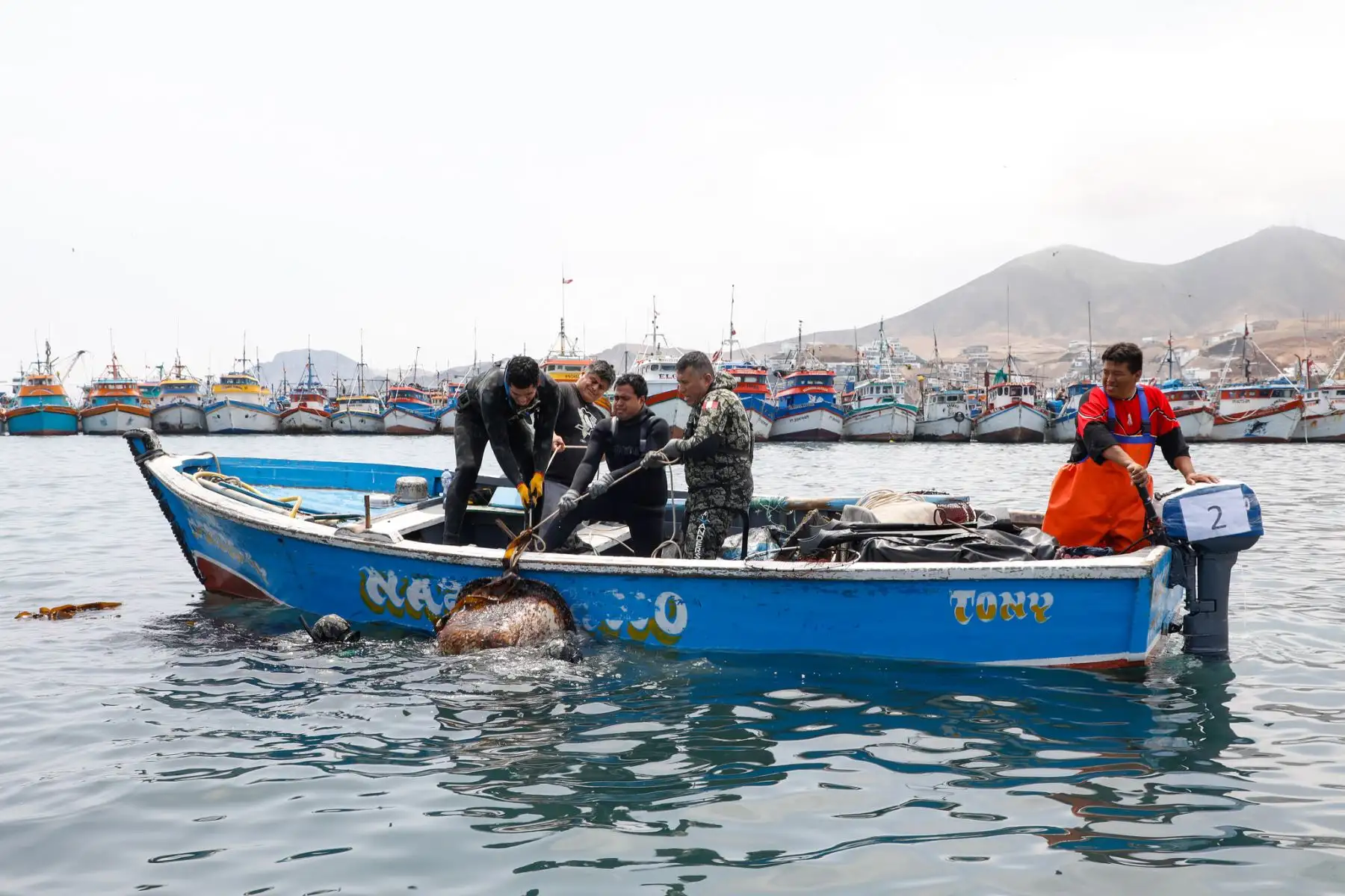 Produce encabeza hoy jornada de limpieza de fondo marino en Chimbote, en Áncash. ANDINA/Difusión