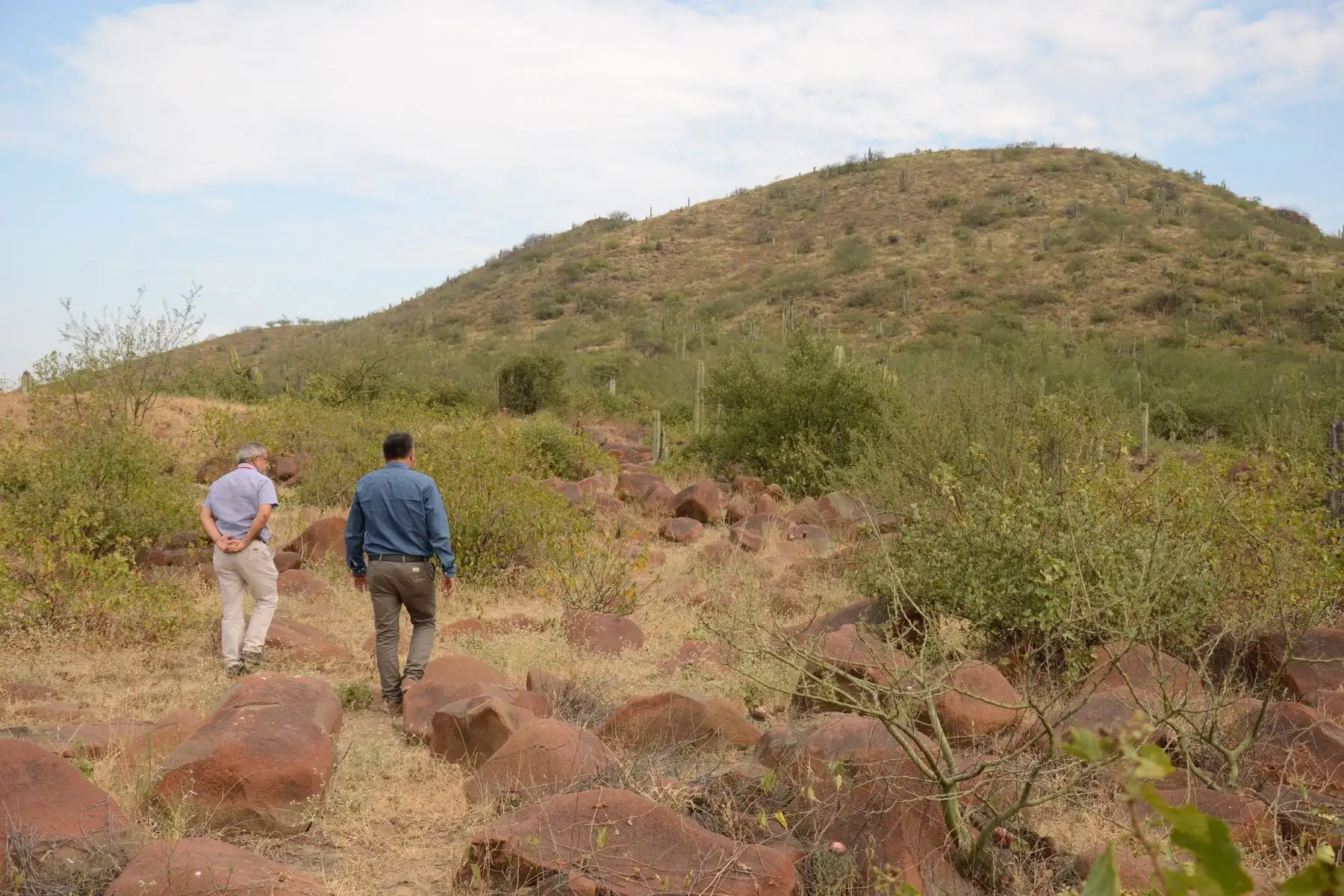 La Unidad Ejecutora Naylamp y Municipalidad de Chongoyape planifican la puesta en valor de la zona arqueológica Cerro Mulato. ANDINA/Difusión