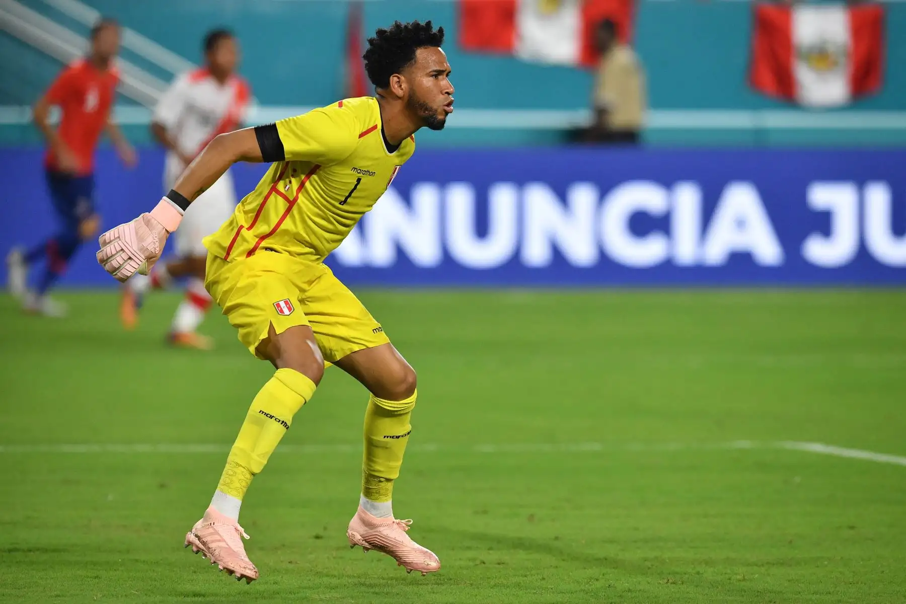 Pedro Gallese ( Alianza Lima)