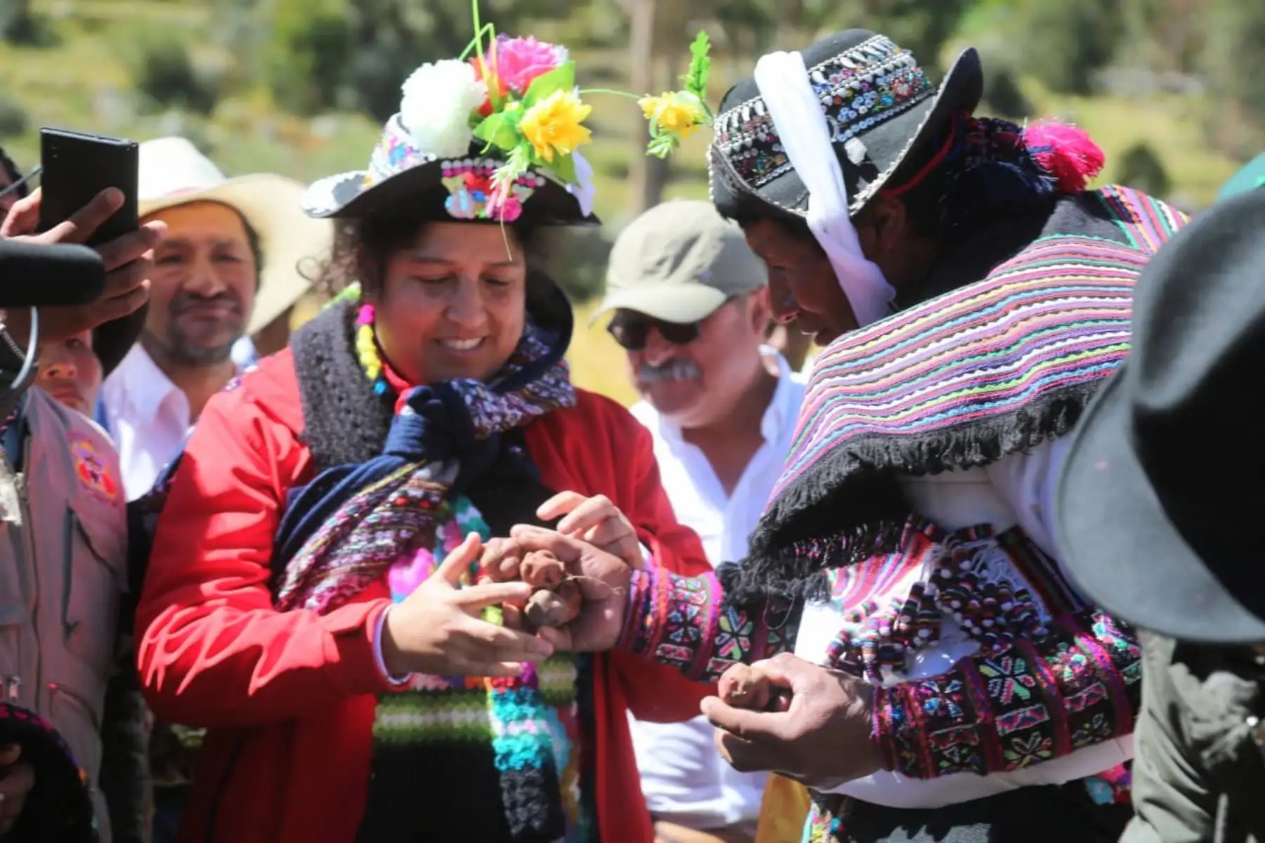 Perú cuenta con más de 3,000 variedades nativas conocidas