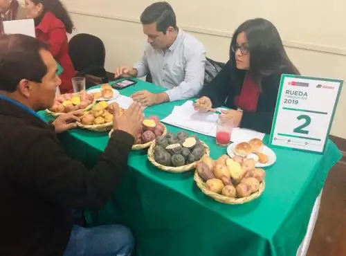 Sierra y Selva Exportadora organizó la Segunda Rueda de Negocios de Papa Nativa Junín 2019