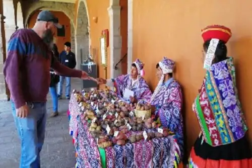 Comuneros de al menos nueve provincias de la región del Cusco exponen centenares de variedades de papá nativa que cultivan e ingresan al mercado local y cadenas hoteleras, en un conocido y lujoso hotel de la ciudad del Cusco.Foto: Percy Hurtado