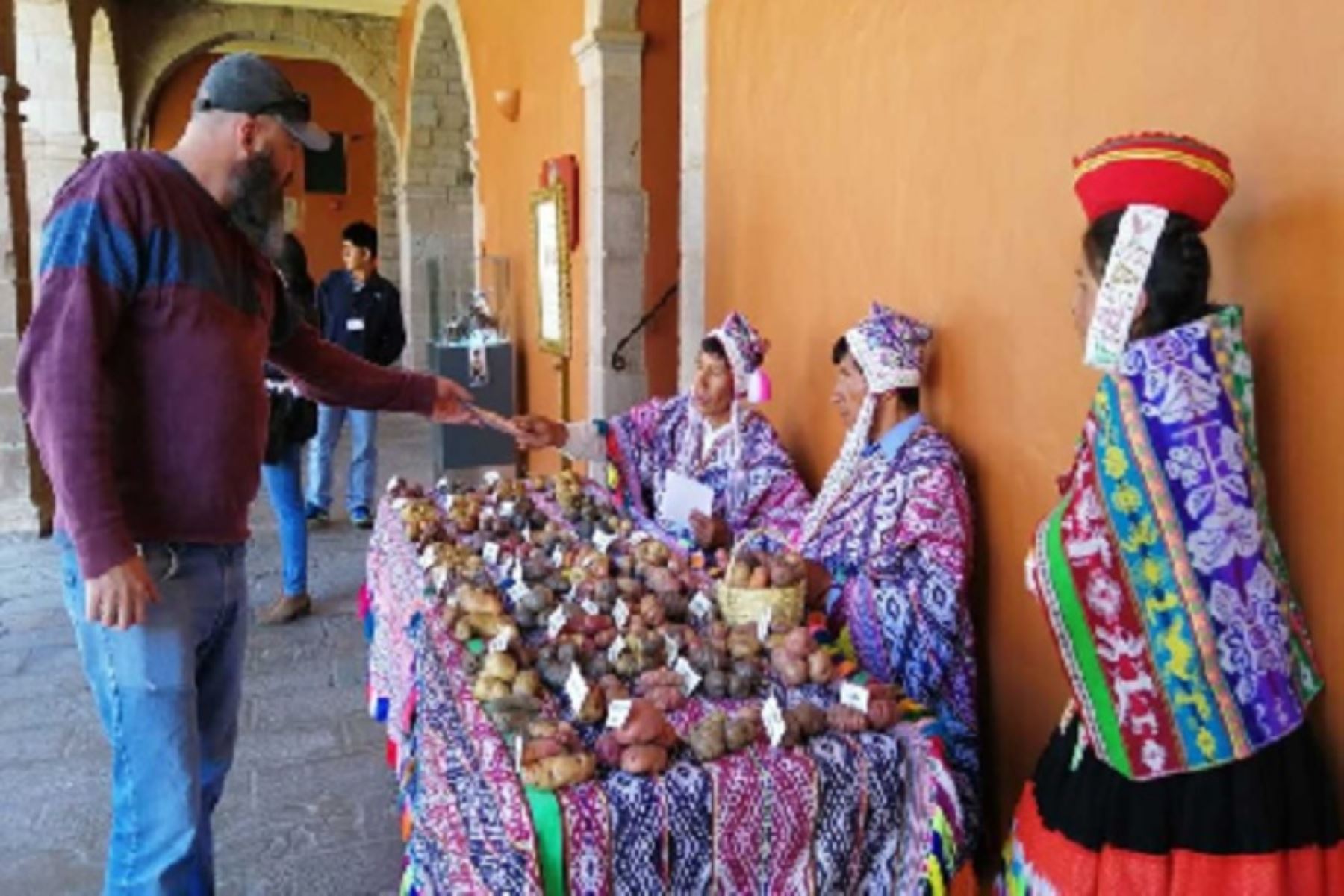 Comuneros de al menos nueve provincias de la región del Cusco exponen centenares de variedades de papá nativa que cultivan e ingresan al mercado local y cadenas hoteleras, en un conocido y lujoso hotel de la ciudad del Cusco.Foto: Percy Hurtado