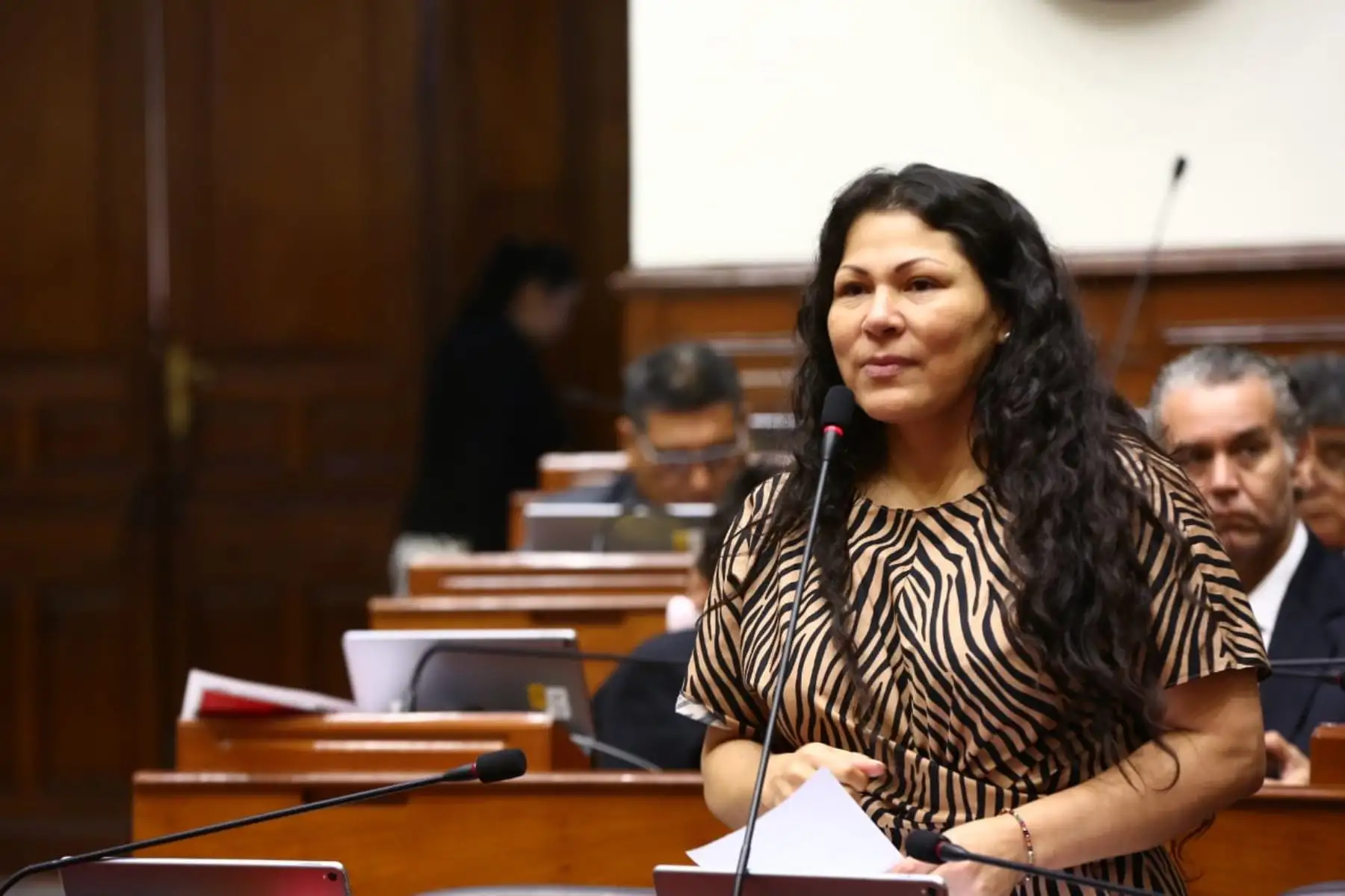 Foto: ANDINA/Difusión.