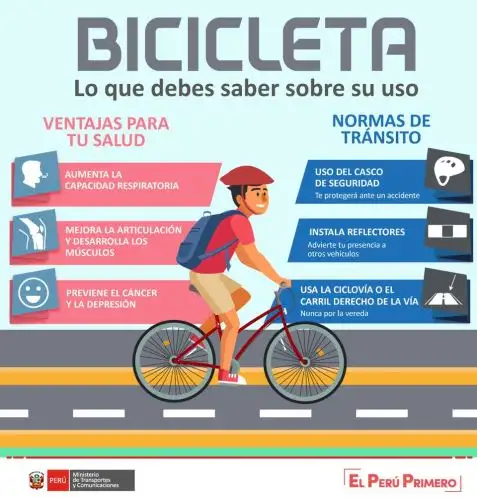 Infografía. Andina/Difusión